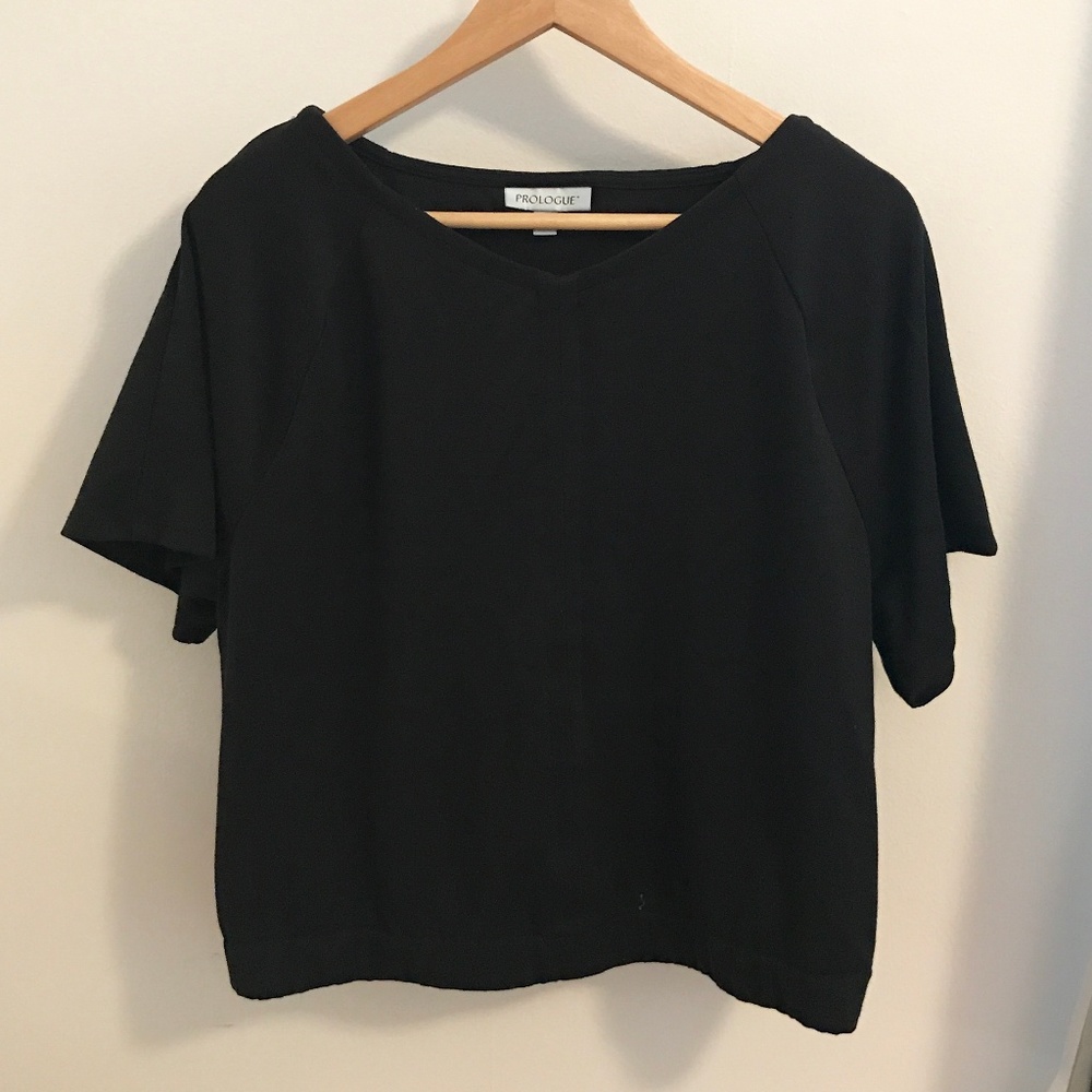 Prologue Short Sleeve Banded Bottom V-Neck T-Shirt